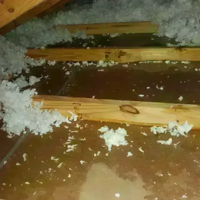 Attic Water Damage in Fort Davis, TX